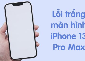 iphone 13 pro max bị trắng màn hình