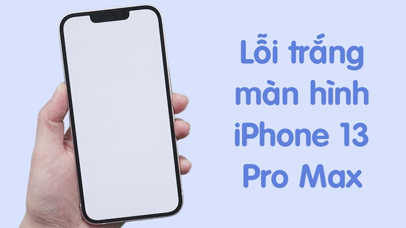 iphone 13 pro max bị trắng màn hình