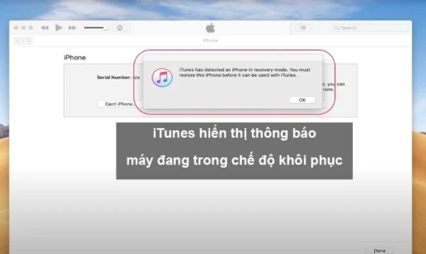 Thông báo iTunes nhận chế độ DFU