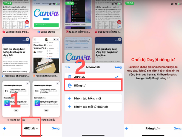 Chọn Riêng tư ở giữa thanh tab