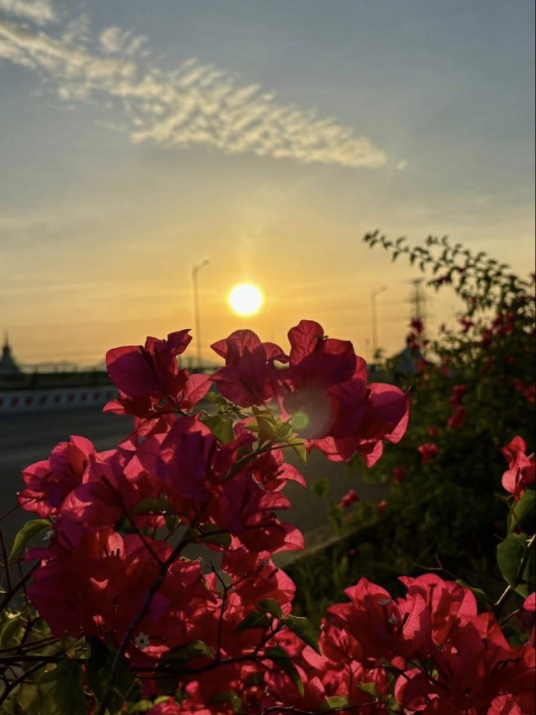 so sánh camera của các dòng iphone