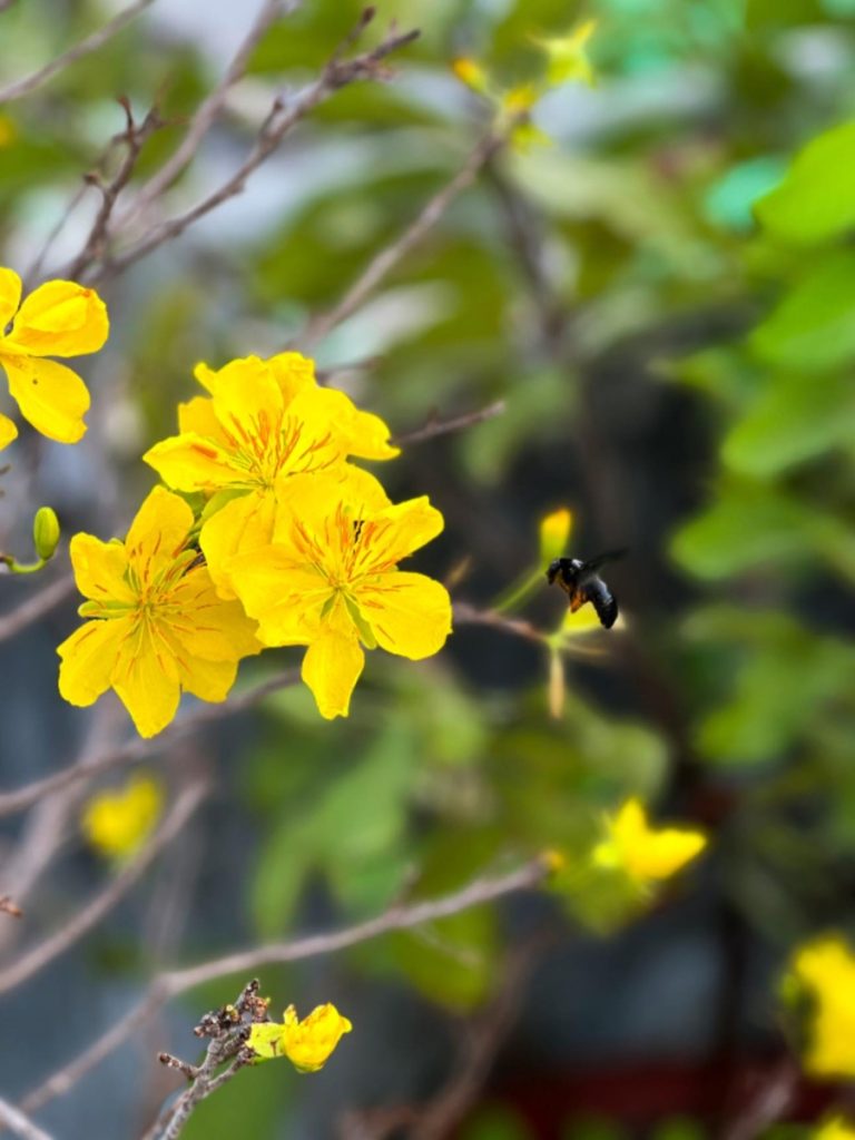 so sánh camera của các dòng iphone