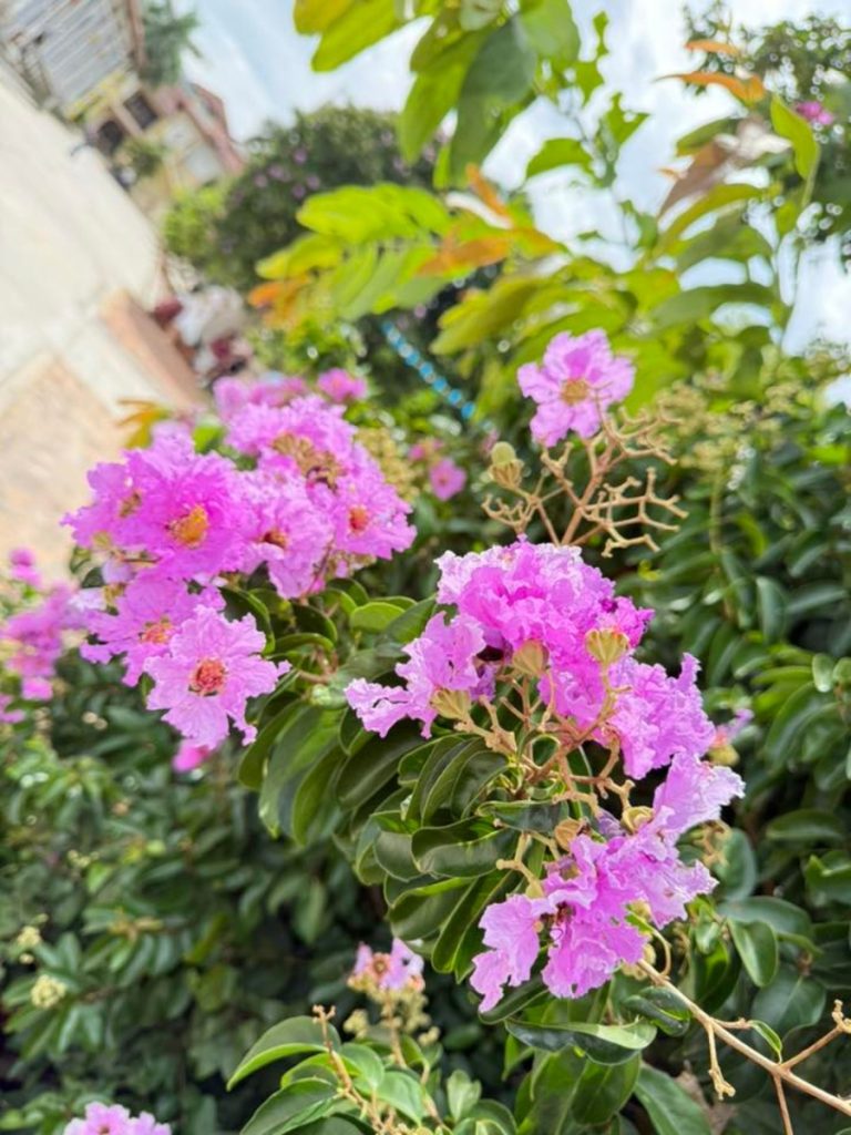 so sánh camera của các dòng iphone