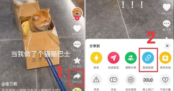 Nhấn nút chia sẻ