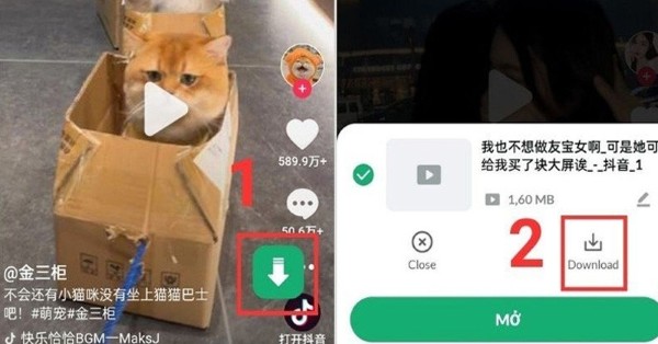 Nhấn biểu tượng tải xuống