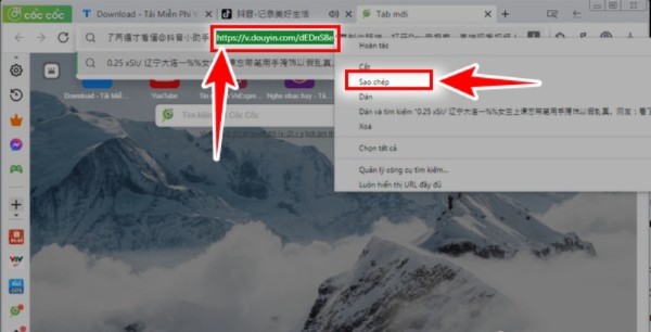 Mở tab mới và dán link vào thanh tìm kiếm