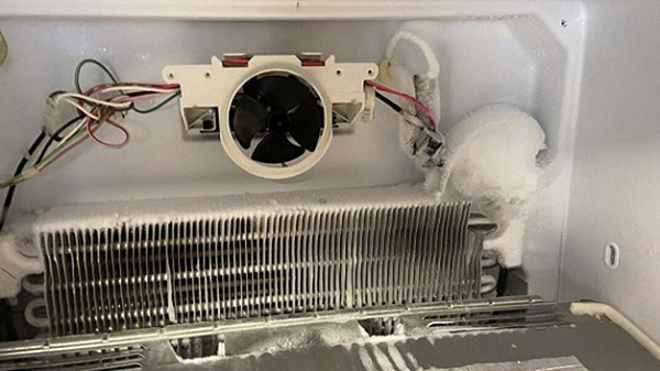 Tra dầu bôi trơn cho động cơ quạt