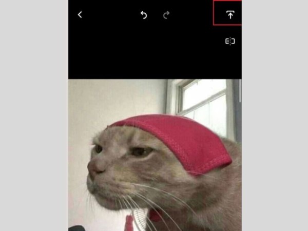 Nhấn lưu để tải ảnh về máy