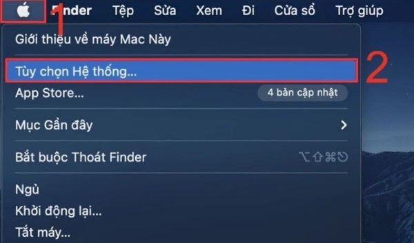 Chọn Tùy chọn hệ thống