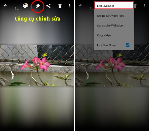 Chọn Edit Live Shot