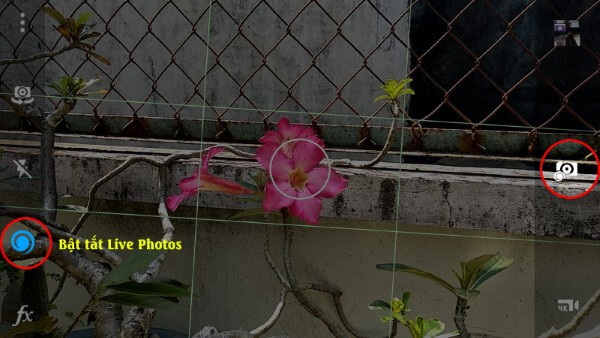 Nhấn nút bật/tắt chế độ Live Shot