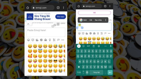 Nhấn giữ vào icon mong muốn để mở tùy chọn Copy