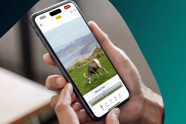 Cách sửa lỗi không thể lấy ảnh từ Live Photo