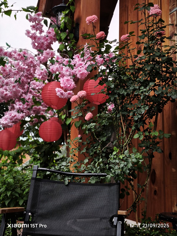 Hình ảnh chụp ra có độ chi tiết cao, màu sắc trung thực