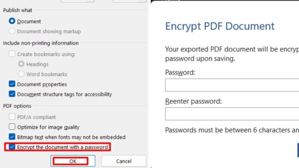 Chọn Encrypt the document with a password