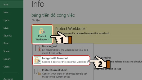 Chọn Protect Workbook > Encrypt with Password
