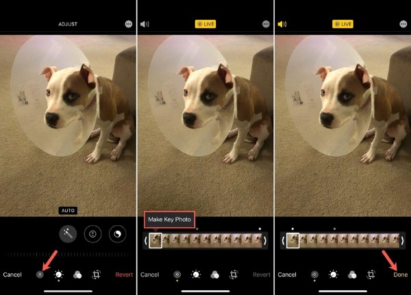 Chọn Edit và chọn khung hình mong muốn