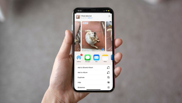 Chọn Save as Video để xuất ra dạng mong muốn