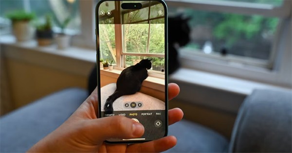 Những lưu ý khi dùng ảnh Live Photo trên iPhone