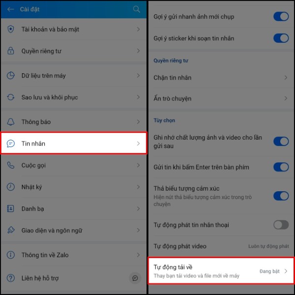 Vào Tự động tải về