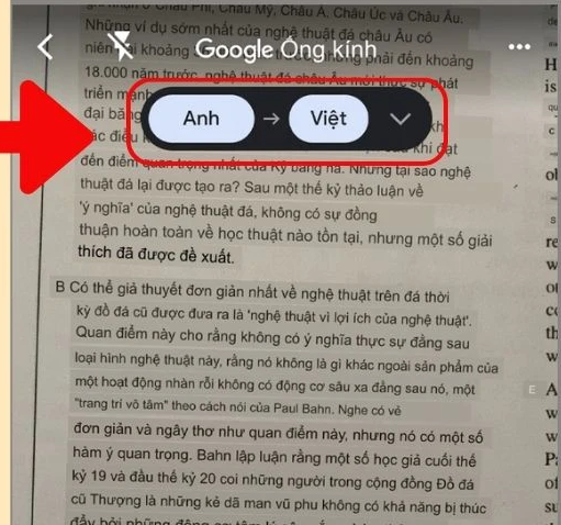 Bạn có thể thiết lập ngôn ngữ gốc và ngôn ngữ mà bạn muốn nhận bản dịch
