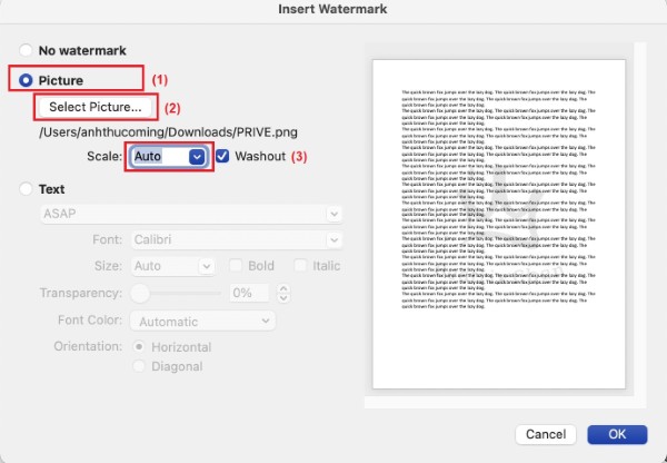 Nhấn Select Picture và điều chỉnh tỷ lệ ảnh phù hợp