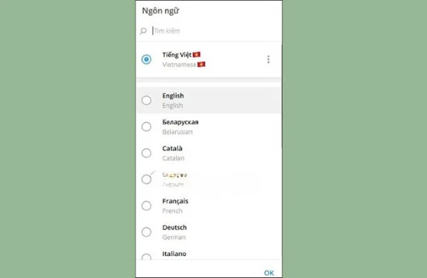 Chọn chuyển sang tiếng Việt