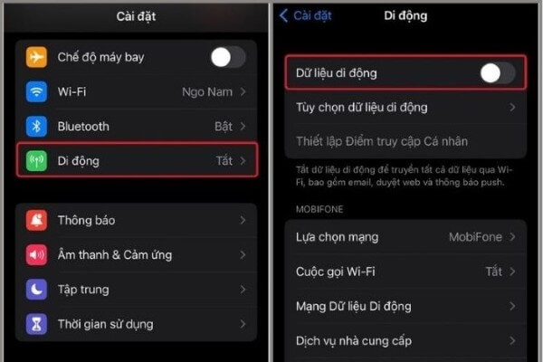 Bật mục Dữ liệu di động