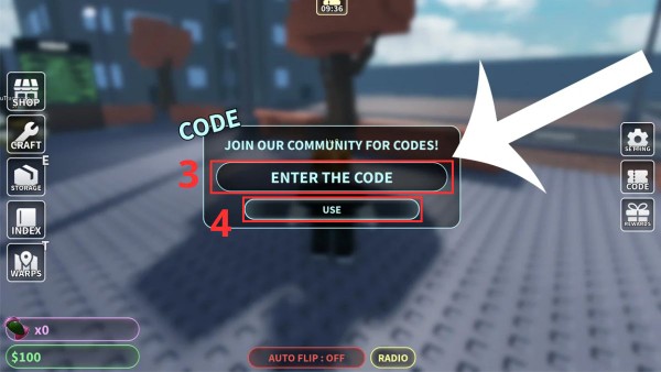 Nhập đúng mã tại ô ENTER THE CODE