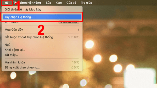 Chọn Tùy chọn Hệ thống