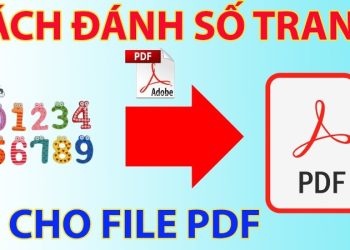 Hướng dẫn đánh số trang PDF đơn giản và đầy đủ nhất