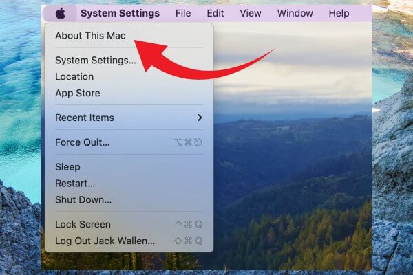 Chọn About This Mac