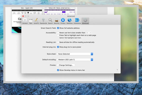 Chọn “Show Develop menu in menu bar”