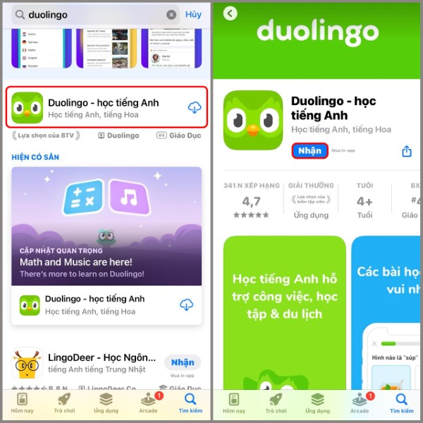 Tìm kiếm và tải về ứng dụng Duolingo