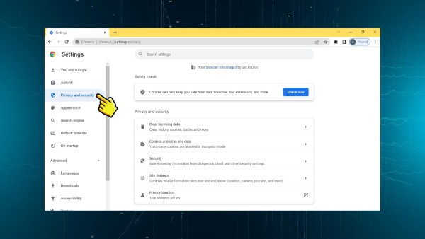 Chọn Privacy and security