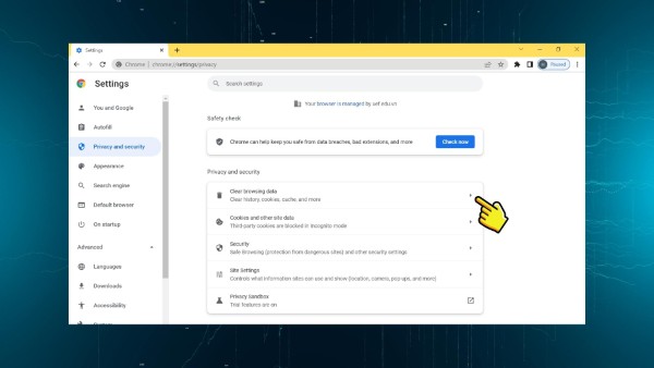 Nhấn Clear browsing data 