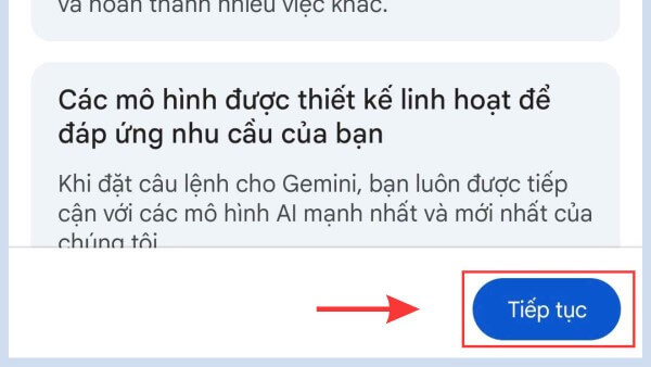 Chọn Tiếp tục để cấp quyền truy cập cho ứng dụng