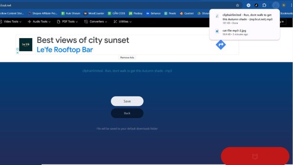 Chọn Save để lưu file ghi âm về máy
