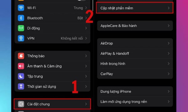Chọn Cập nhật phần mềm