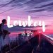 lowkey là gì