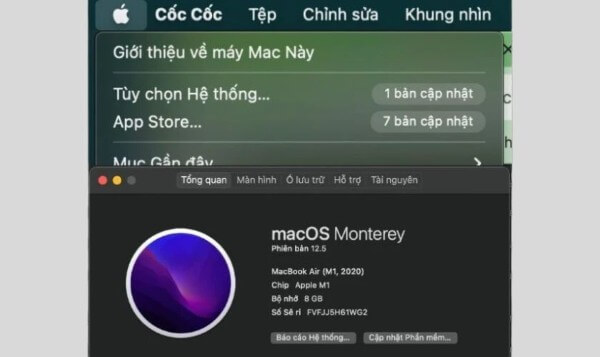 Chọn “System Report”