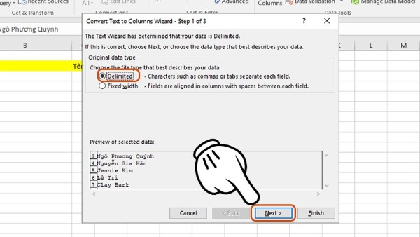 Chọn Delimited → Next