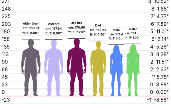 Việc sử dụng web so sánh chiều cao mang lại nhiều lợi ích