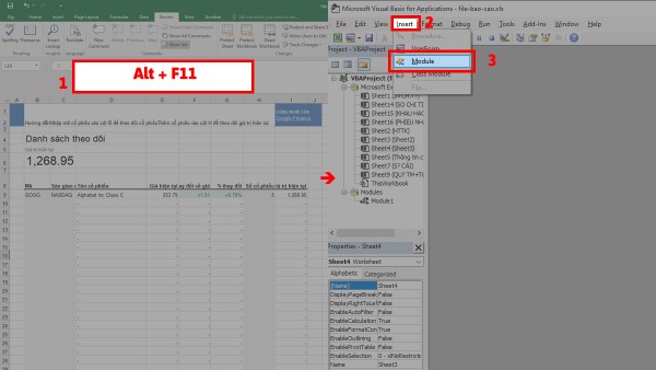 Chọn Insert → Module