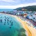đặc sản bình định