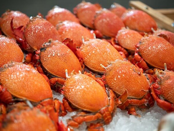 Cua huỳnh đế Tam Quan