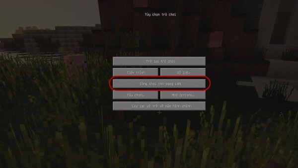 Chọn Công khai cho mạng LAN