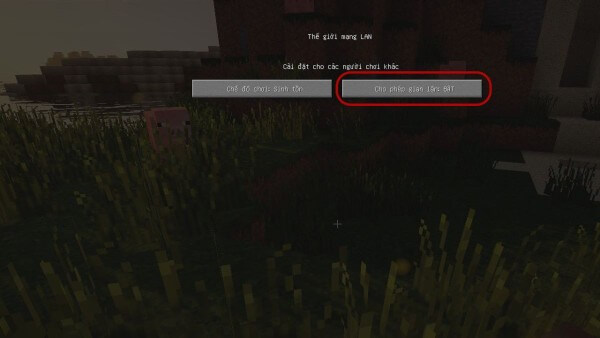 Bật Cho phép gian lận