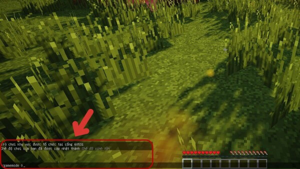 Mở cửa sổ chat bằng cách nhấn Enter và nhập lệnh mong muốn