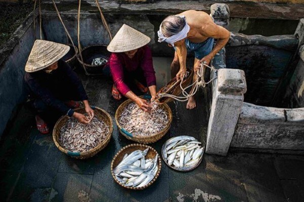 Làng Nam Ô có lịch sử làm nước mắm hàng trăm năm